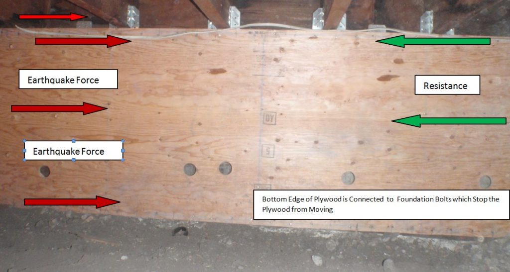 PLYWOOD PROVIDING A COUNTER FORCE